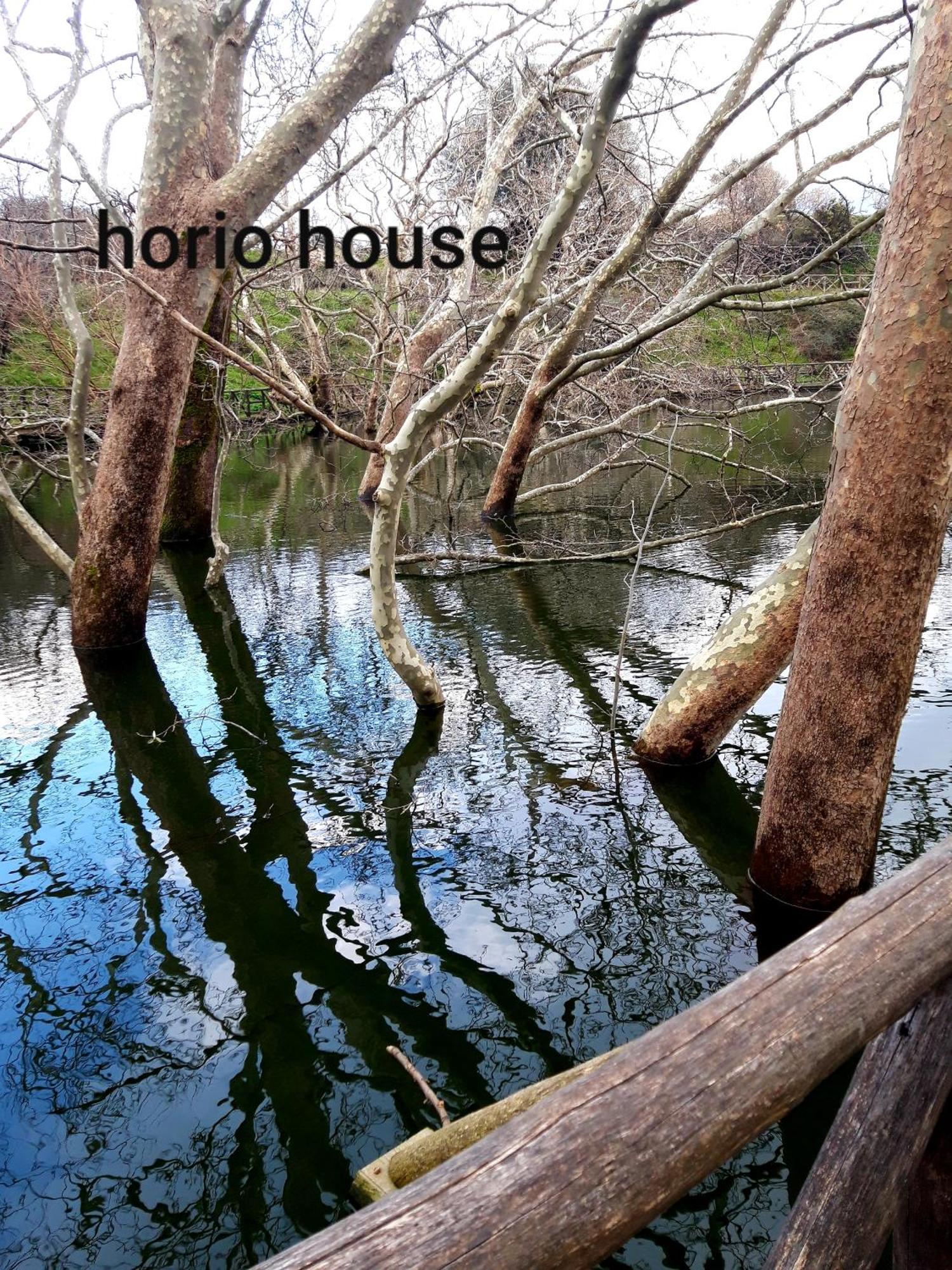Horio House Villa Limni  Phòng bức ảnh